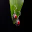Show details for Pure Silver Earring With Natural Coral/Women/5.4 Gram Picture of Pure Silver Earring With Natural Coral/Women/5.4 Gram