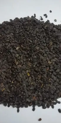 Picture of Wild Silam (वन सिलाम) 1KG