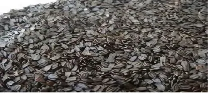 Picture of Wild Silam (वन सिलाम) - 300Gram