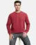 Show details for Jockey Men's Super Combed Cotton Rich Fleece Fabric Sweatshirt with Stay Warm Treatment Picture of Jockey Men's Super Combed Cotton Rich Fleece Fabric Sweatshirt with Stay Warm Treatment