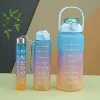 Picture of 3 In 1 Water Bottle With Motivational Quotes (Color Many More)
