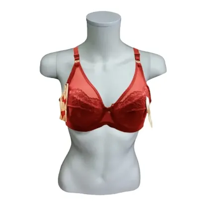 Show details for Lace Designed Light Foam Bra With Wired Picture of Lace Designed Light Foam Bra With Wired