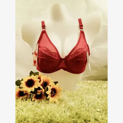 Show details for Lace Designed Light Foam Bra With Wired Picture of Lace Designed Light Foam Bra With Wired