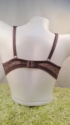 Show details for New Arrivals Yadaili Full Net Pushup Bra For Women Picture of New Arrivals Yadaili Full Net Pushup Bra For Women
