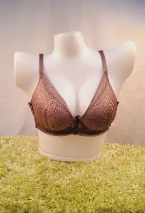 Show details for New Arrivals Yadaili Full Net Pushup Bra For Women Picture of New Arrivals Yadaili Full Net Pushup Bra For Women