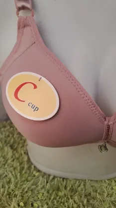 Show details for Plus Size Soft Padded C Cup Without Wired Bra For Women - Fashion | Bras For Women | Innerwear For Women | Picture of Plus Size Soft Padded C Cup Without Wired Bra For Women - Fashion | Bras For Women | Innerwear For Women |