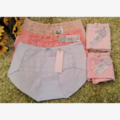 Show details for Combo of 5 Front Net Cotton Panty For Women Picture of Combo of 5 Front Net Cotton Panty For Women