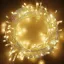 Show details for Warm White Light 10 Meter Tihar Decorative Led String Light 10m Gel Rice light Warm White Jhilimili Batti Jhilimili Diwali Light Dipawali Light Picture of Warm White Light 10 Meter Tihar Decorative Led String Light 10m Gel Rice light Warm White Jhilimili Batti Jhilimili Diwali Light Dipawali Light